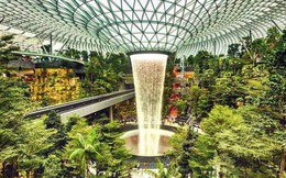 Đẳng cấp sân bay tốt nhất thế giới: Có rừng nhiệt đới hơn 2.000 cây xanh, kiến trúc vượt xa thời đại, là địa điểm du lịch không thể bỏ qua