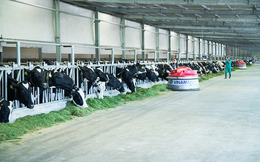 Nhận định ngành sữa chưa bão hòa: Vinamilk đặt kỳ vọng  tăng 63% doanh số đến năm 2025