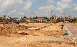Nghệ An: Đất đấu giá bị bỏ cọc, người có tiền lao đao sau cơn sốt