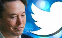 Truyền thông Mỹ: Twitter có thể nhượng bộ cung cấp dữ liệu cho tỷ phú Elon Musk