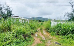 Quảng Ninh 'bêu tên' các dự án ôm đất bỏ hoang gây bức xúc
