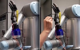 Robot có thể sớm cảm thấy "đau" nhờ loại da điện tử mới được phát triển