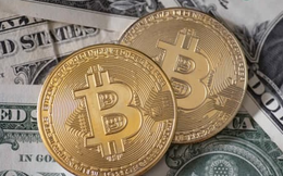USD cao nhất 20 năm, Bitcoin rơi tiếp về gần 20.000 USD