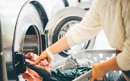 Số hoá thị trường giặt là truyền thống: Cơ hội vàng cho startup công nghệ