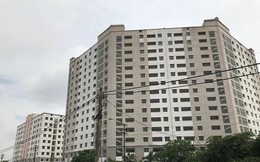 Gà, vịt 'nương tựa' khu chung cư tái định cư trăm tỷ ở Hà Nội