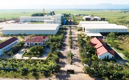 “Đế chế đường” TTC Sugar nhà họ Đặng: Mở rộng diện tích ở Lào, đầu tư vào Úc, mục tiêu doanh thu 1,5 tỷ USD trong niên độ 2024-2025