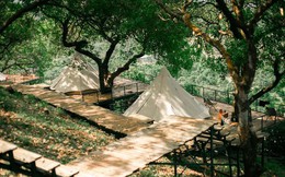 Giải mã xu hướng cắm trại #Glamping, lên dây cót cho trải nghiệm sang-xịn-mịn Hè này