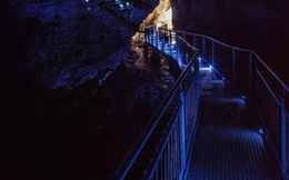 Mê mẩn trước vẻ đẹp kỳ ảo của hang động đom đóm ở New Zealand