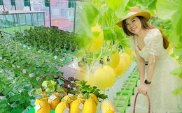 Mê trồng trọt, nữ giám đốc chịu chơi "bê" luôn vườn 250m2 lên sân thượng, bội thu rau trái