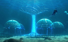 Phép màu khoa học: Nemo Garden, trang trại trồng rau dưới đáy biển