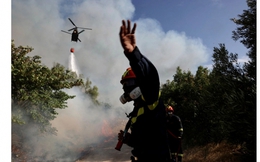 Cháy rừng nghiêm trọng tại Hy Lạp