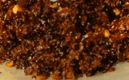 Loại muối lạ làm từ con kiến ở Gia Lai, giá có thể lên đến 1 triệu/kg, tìm mua siêu khó