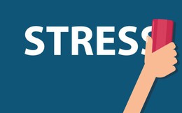 Nghề Ngân hàng: Lương cao, stress cũng cao, thậm chí VPBank còn tiên phong tuyển chuyên gia lo giải quyết vấn nạn stress cho nhân sự!
