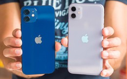 Giá nhiều mẫu iPhone tại Việt Nam đang rẻ nhất thế giới