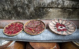 Về miền Tây xem cách người dân làm món cá khô - đặc sản “chữa cháy” bữa cơm mà trong tủ lạnh quanh năm lúc nào cũng phải “trữ”