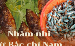 Cá heo sông Mê Kông: Thịt ngọt thơm từ màu xanh ngọc bích, muốn ăn cũng hiếm có khó tìm