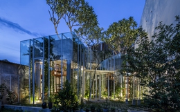 Căn nhà 'bọc kính' ngập tràn cây xanh của cặp vợ chồng Huế