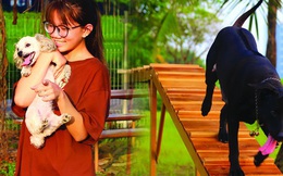 Ghé thăm công viên cho chó đầu tiên tại Hà Nội: Nhiều đồ chơi và khu vực ăn dành riêng cho thú cưng