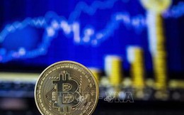 Đồng bitcoin được dự báo sẽ ở mức trên 33.000 USD vào cuối tháng 7