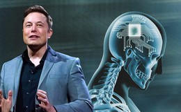 Elon Musk đã "copy" thành công não của chính mình