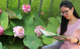 Cô gái 9x mang đầm sen lên ban công: Cất bằng cử nhân theo đam mê trồng cây, 31 tuổi thu về "hoa thơm"