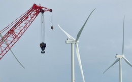 Hàng tỉ USD điện gió 'đắp chiếu': Đề xuất chủ đầu tư đàm phán giá điện với EVN
