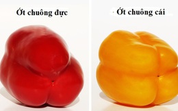 Chọn ớt chuông có đáy 3 rãnh hay 4 rãnh thì ngon?