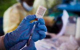 Congo công bố đợt bùng phát Ebola thứ 14, 100% ca bệnh tử vong