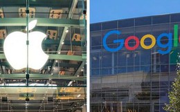 Apple, Google đều lên kế hoạch sản xuất ở Việt Nam, liệu Việt Nam có thể trở thành công xưởng của thế giới?