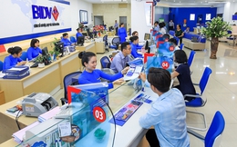 BIDV giảm giá bán hơn 200 tỷ đồng nợ của Găng tay Nam Việt và thẩm định tài sản một công ty kim khí