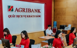 Agribank bán nhà ở phố cổ Hà Nội gần 700 triệu đồng/m2 và nợ thế chấp bằng 19 bất động sản