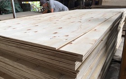 Mỹ kết luận sơ bộ điều tra lẩn tránh phòng vệ thương mại với gỗ dán dùng nguyên liệu gỗ cứng nhập khẩu từ Việt Nam