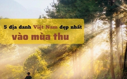 5 nơi đẹp nhất vào mùa thu ở Việt Nam: Địa danh cuối cùng các cặp đôi không nên bỏ lỡ