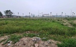 Vùng ven Hà Nội đua nhau đấu giá giữa lúc thị trường trầm lắng