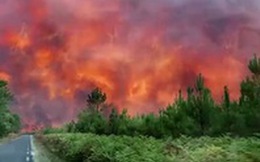 Cháy rừng lan rộng, Pháp sơ tán hơn 10.000 người dân
