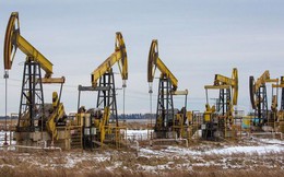 Khách hàng bão hòa, xuất khẩu dầu Nga sắp qua thời hoàng kim