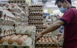 Trung Quốc: Gà đẻ ít hơn vì trời quá nóng, giá trứng tăng chóng mặt