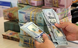 Chênh lệch tỷ giá bào mòn lợi nhuận nhiều doanh nghiệp trong quý II như thế nào?