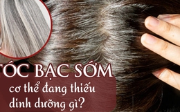 Chưa già tóc đã bạc trắng, có thể bạn cần bổ sung ngay một loại dinh dưỡng quan trọng