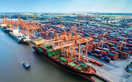 Các doanh nghiệp vận tải tiếp tục bội thu, ngành cảng phân hóa trong quý II