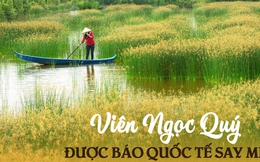 1 nơi ở Việt Nam được chuyên trang du lịch quốc tế gọi là 'Viên ngọc quý': Niềm mơ ước của người mê sinh thái