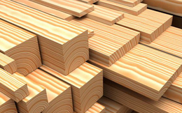 Lợi nhuận doanh nghiệp gỗ nửa đầu năm khả quan, triển vọng xuất khẩu vào Mỹ cuối năm kém sáng
