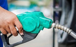 Giá xăng có thể giữ nguyên, giá dầu dự báo tăng đến 2.000 đồng/lít