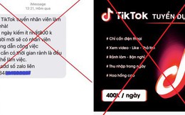 Tham gia kiếm tiền trên ứng dụng Tiktok, một phụ nữ bị lừa gần 300 triệu đồng