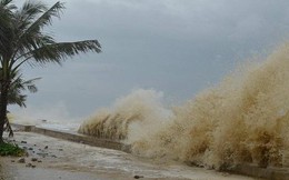 Vùng áp thấp sắp mạnh lên thành áp thấp nhiệt đới, mùa bão năm nay phức tạp khó lường