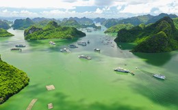 Đi giữa lòng di sản cùng chuyến phà biển đặc biệt nhất Việt Nam