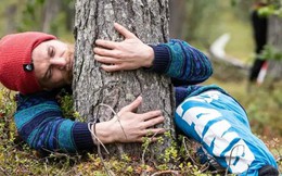 "Cuộc thi ôm cây" kỳ lạ ở Phần Lan - nơi con người được chữa lành bằng những cái ôm thiên nhiên vào lòng