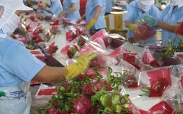 Trung Quốc chi gần 1 tỷ USD mua rau quả Việt Nam