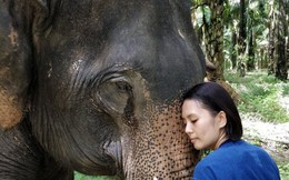 Hành trình xúc động giải cứu 'chú voi cô độc nhất thế giới': Sống mòn trong dây xích!