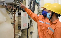 Trước khi bất ngờ báo lỗ gần 16.600 tỷ đồng nửa đầu năm 2022, EVN kinh doanh ra sao?